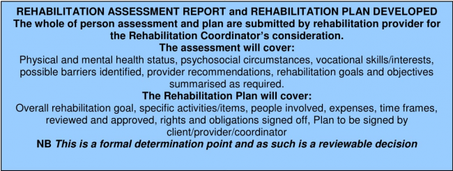 Rehabilitation assessment report